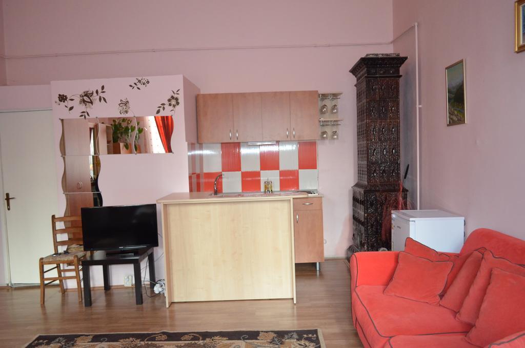 Cosy Studio Apartment Cluj-Napoca Exterior photo